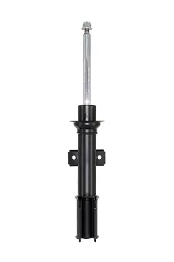 Shock Absorber (C28196)