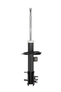 Shock Absorber (C58472)