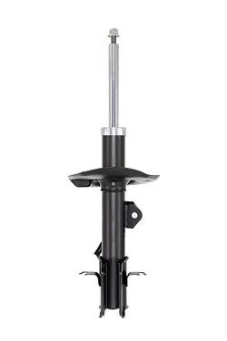 Shock Absorber (C58706)