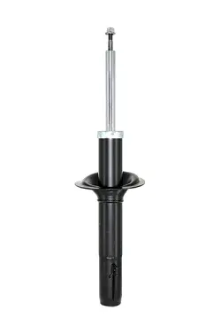 Shock Absorber (C28534)