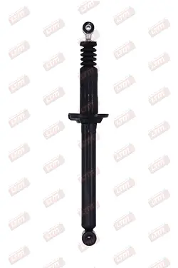 Shock Absorber (C06089)