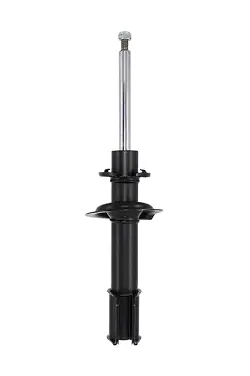 Shock Absorber (C28072)