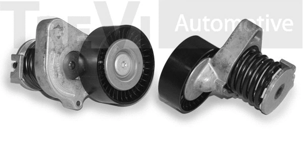 Tensioner Lever, V-ribbed belt (TA2093)