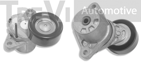Tensioner Lever, V-ribbed belt (TA1782)