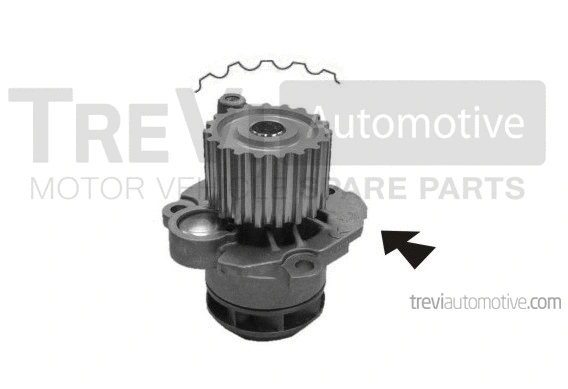Water Pump, engine cooling (TP861)