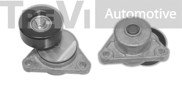 Tensioner Lever, V-ribbed belt (TA1806)