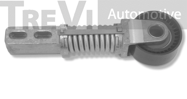 Tensioner Lever, V-ribbed belt (TA1611)
