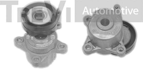 Tensioner Lever, V-ribbed belt (TA1165)