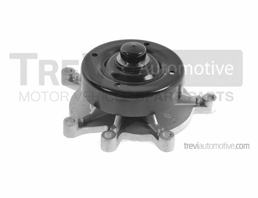 Water Pump, engine cooling (TP5035)