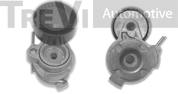 Tensioner Lever, V-ribbed belt (TA1625)