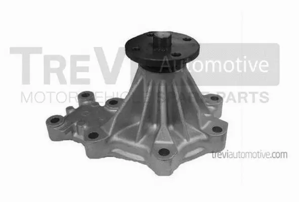Water Pump, engine cooling (TP1309)