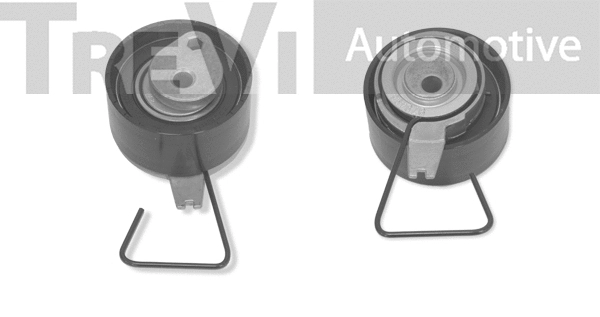 Tensioner Pulley, timing belt (TD1553)