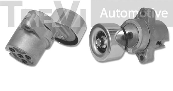 Tensioner Lever, V-ribbed belt (TA1720)