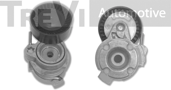 Tensioner Lever, V-ribbed belt (TA1589)