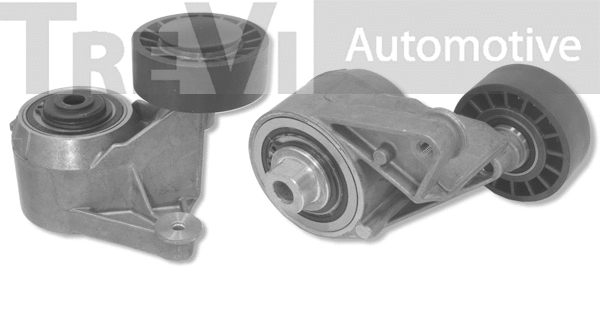 Tensioner Lever, V-ribbed belt (TA1137)