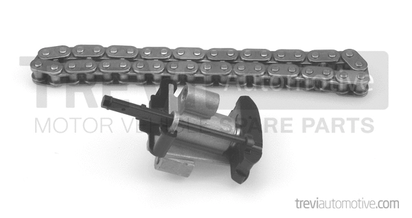 Timing Chain Kit (KC1081)