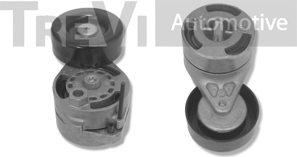 Tensioner Lever, V-ribbed belt (TA1956)
