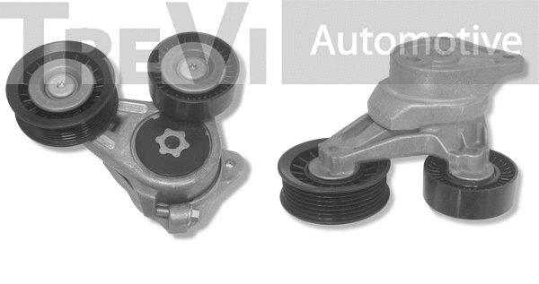 Tensioner Lever, V-ribbed belt (TA1785)