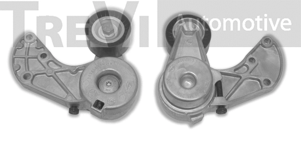 Tensioner Lever, V-ribbed belt (TA1865)