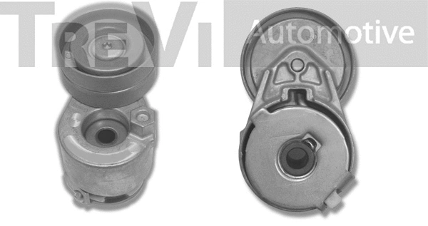 Tensioner Lever, V-ribbed belt (TA1572)