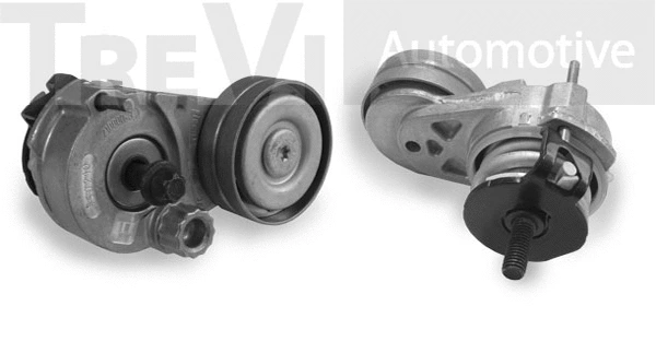 Tensioner Lever, V-ribbed belt (TA1935)