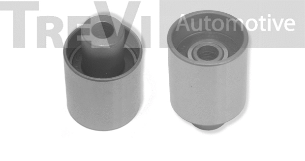 Deflection/Guide Pulley, timing belt (TD1629)