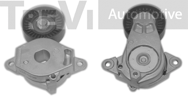 Tensioner Lever, V-ribbed belt (TA2129)