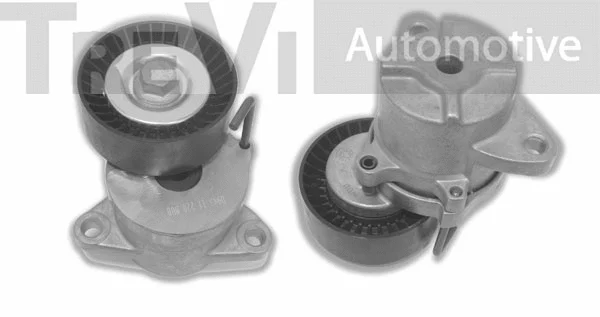 Tensioner Lever, V-ribbed belt (TA2168)
