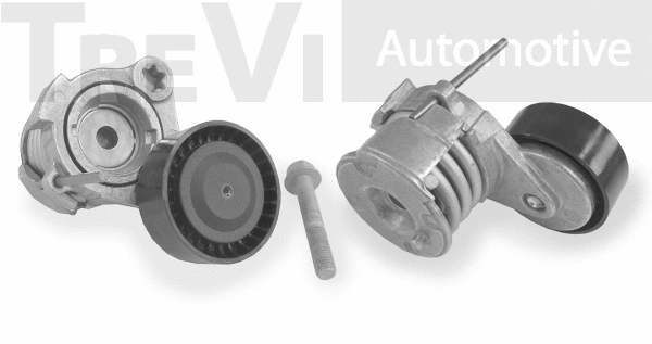 Tensioner Lever, V-ribbed belt (TA1948)