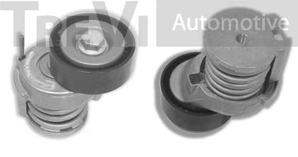 Tensioner Lever, V-ribbed belt (TA1621)