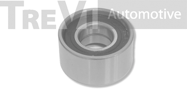 Deflection/Guide Pulley, timing belt (TD1255)