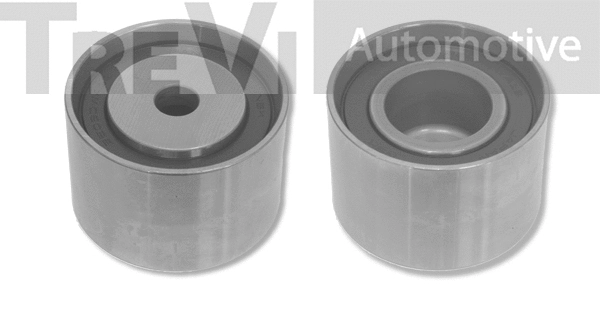 Deflection/Guide Pulley, timing belt (TD1698)