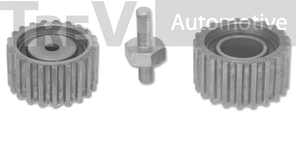 Deflection/Guide Pulley, timing belt (TD1087)