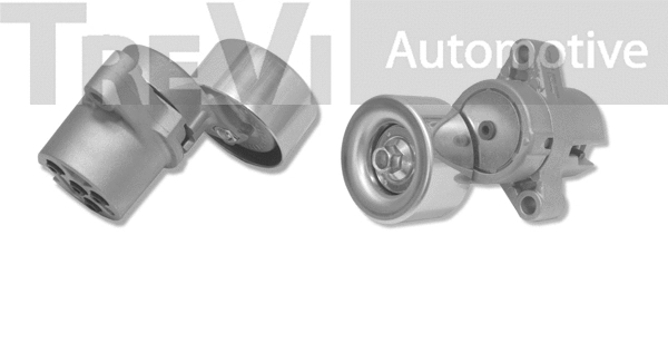 Tensioner Lever, V-ribbed belt (TA2244)