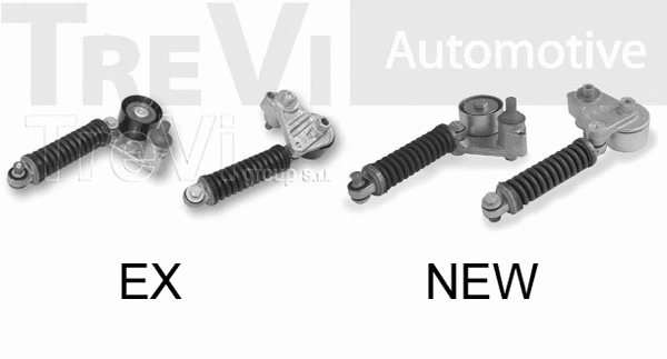 Tensioner Lever, V-ribbed belt (TA1880)