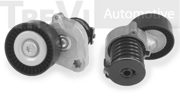 Tensioner Lever, V-ribbed belt (TA1754)