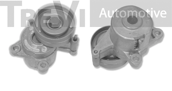 Tensioner Lever, V-ribbed belt (TA1643)