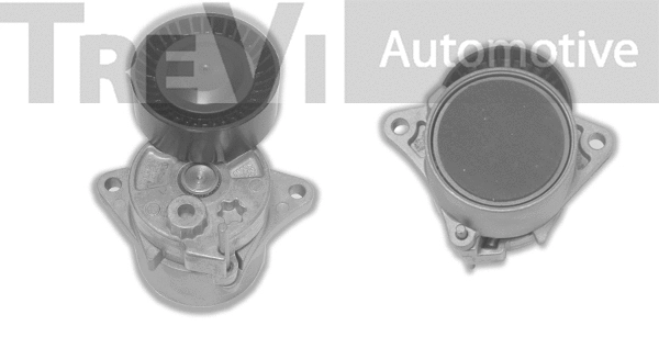 Tensioner Lever, V-ribbed belt (TA1616)
