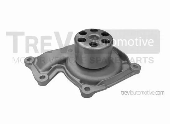 Water Pump, engine cooling (TP1191)