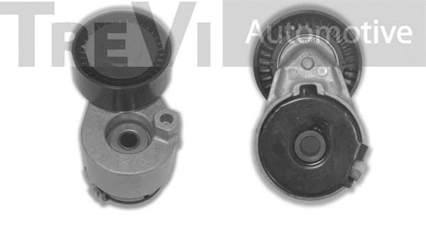 Tensioner Lever, V-ribbed belt (TA1426)