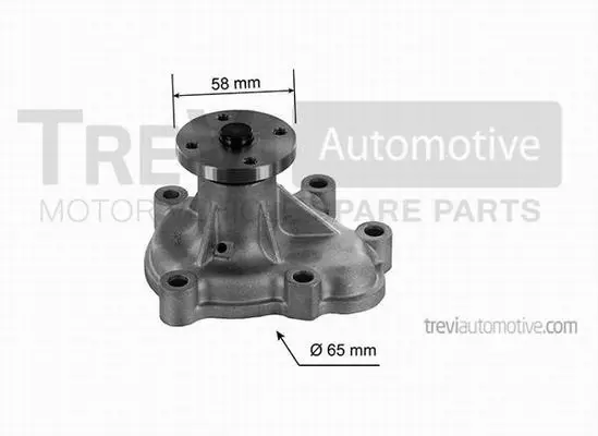 Water Pump, engine cooling (TP765)