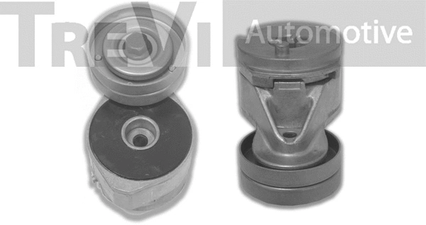 Tensioner Lever, V-ribbed belt (TA1432)