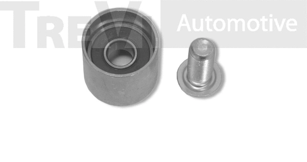 Deflection/Guide Pulley, timing belt (TD1410)