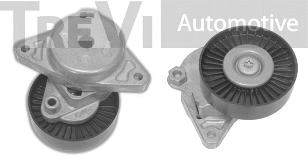 Tensioner Lever, V-ribbed belt (TA1564)