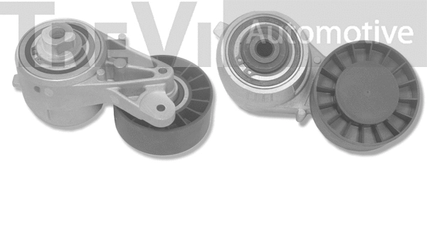 Tensioner Lever, V-ribbed belt (TA1138)