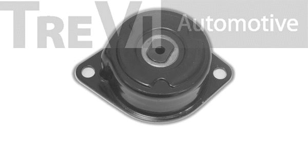 Tensioner Lever, V-ribbed belt (TA1344)