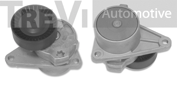 Tensioner Lever, V-ribbed belt (TA1425)