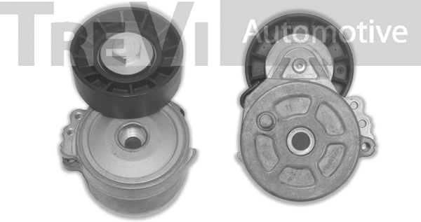 Tensioner Lever, V-ribbed belt (TA1663)