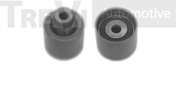 Deflection/Guide Pulley, timing belt (TD1560)