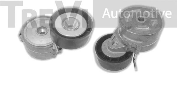 Tensioner Lever, V-ribbed belt (TA2047)